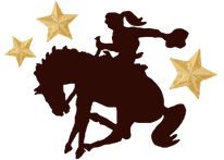 Silhouette of a person riding a horse with stars around